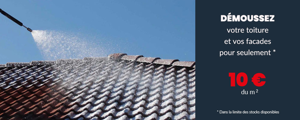 Promotion démoussage toiture