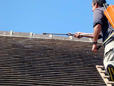 Demoussage toiture 91, 92 et 94